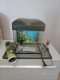 acquario per pesci 