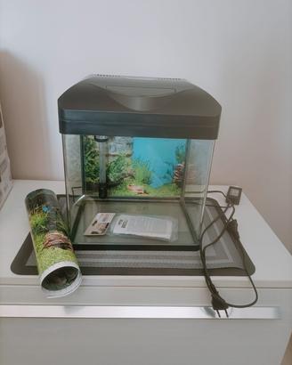 acquario per pesci 
