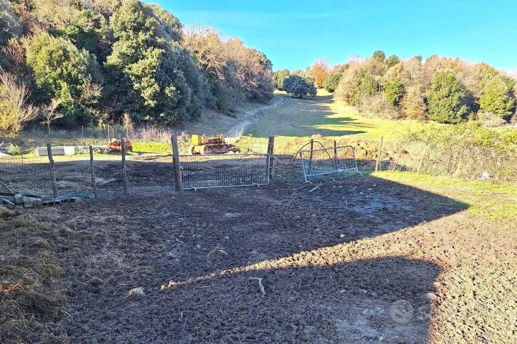 Immobile in asta di 30310 m² a Castelfranco di Sot - Altro