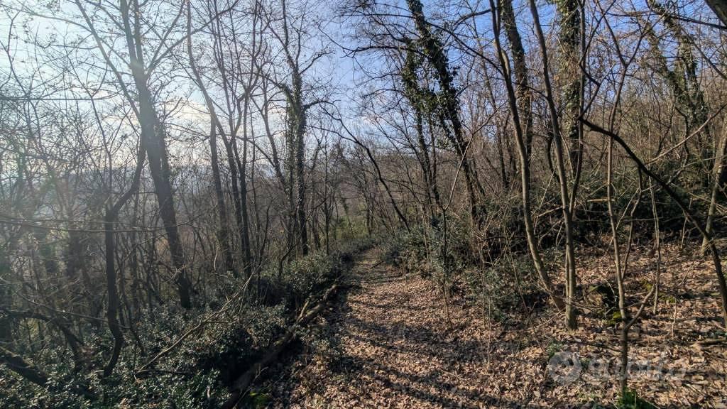 Terreno di 10000 m² a Arzignano - Vista 3