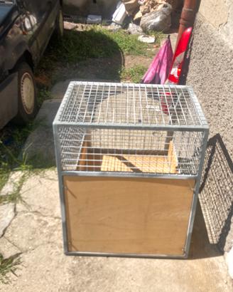 Gabbia per cani