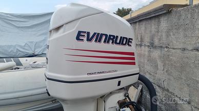 RICAMBI EVINRUDE FICTH RAM 200