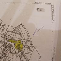 Terreni Agricoli Trivento