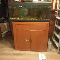 Acquario 150 litri completo