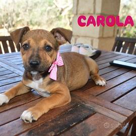 Carola Carlotta due mesi tg M