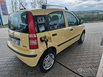 Fiat panda 1.2cc  a metano  cinghia D.C  Eseguita