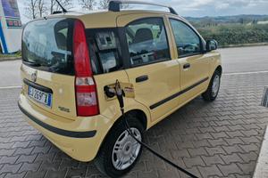Fiat panda 1.2cc  a metano  cinghia D.C  Eseguita