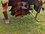Immagine 6