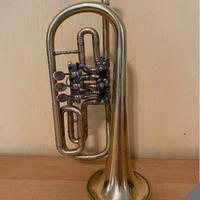 Cornetta sib (flicorno)