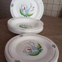 Servizio piatti Arcopal