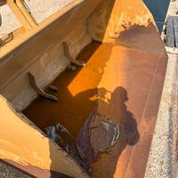 Venne cereali per Merlo e muletto