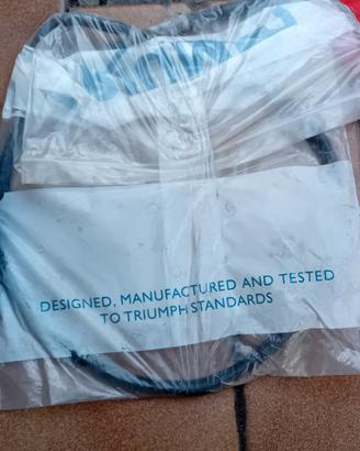 ricambi Triumph 955i 