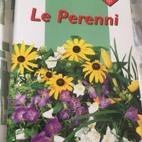 Viaggi Nel Mondo Delle Piante LE PERENNI Bayern