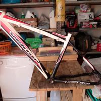 Telaio Bici Alluminio Vektor