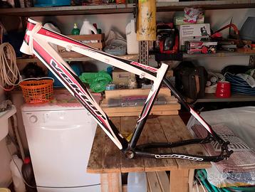 Telaio Bici Alluminio Vektor