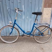 biciclette pieghevoli raggio 24