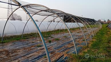 2 TIPOLOGIE DI SERRE