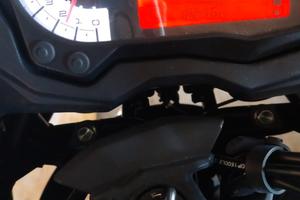 Benelli 502 C - 2022