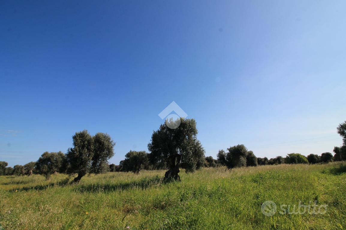 TER. RESIDENZIALE A OSTUNI - Vista 5