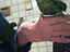Immagine 2