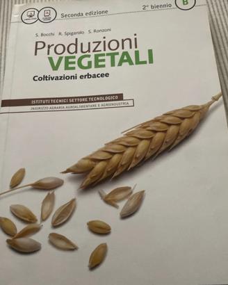 Libro 1 Superiore