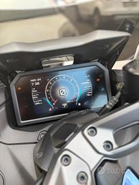 t max fine 2023 immacolato
