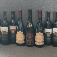 12 bottiglie di vino rosso veneto e pugliese 