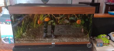 Acquario juwel Rio 180