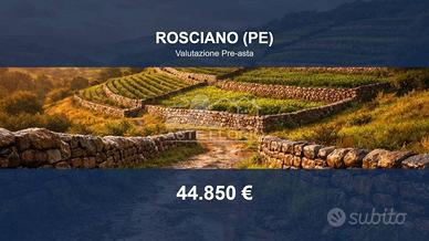 Immobile in asta di 18670 m² a Rosciano