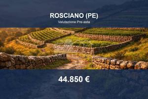 Immobile in asta di 18670 m² a Rosciano