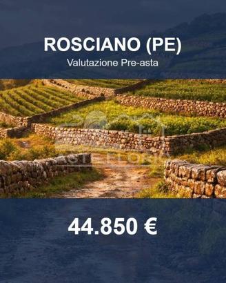 Immobile in asta di 18670 m² a Rosciano