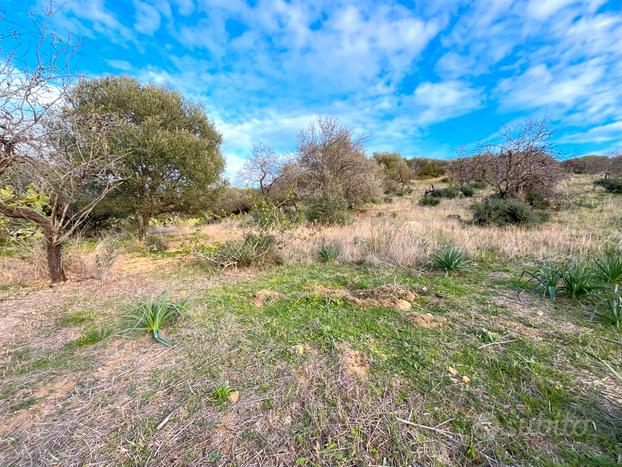 Terreno A 800 Metri Dal Mare