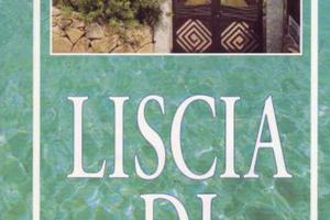 Villa in multiproprietà residence liscia di vacca