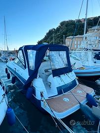 Four Winns Vista 288