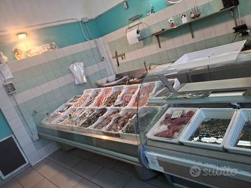 Attrezzatura pescheria