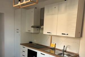 MONTE PORZiO CATONE BILOCALE ARREDATO