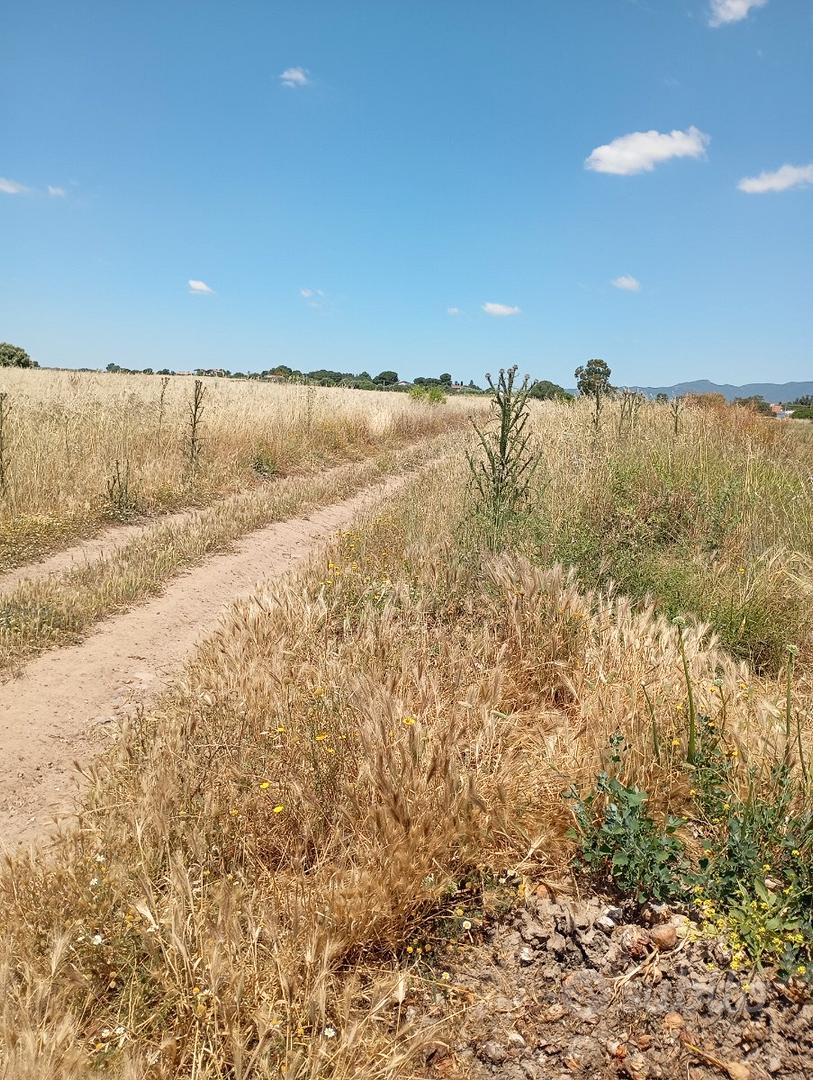 Terreno Bellavista - Vista 3