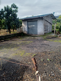 Terreno agricolo Mascali