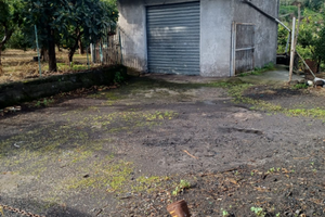 Terreno agricolo Mascali