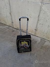Trolley scuola
