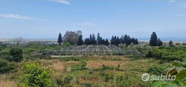 Terreno con rustico e serre a Mascali