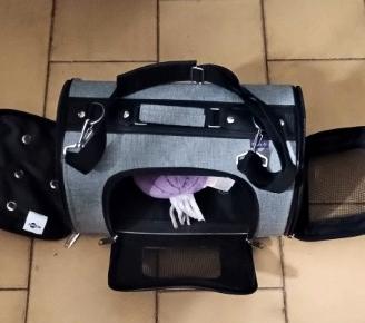 trasportino per animali domestici 