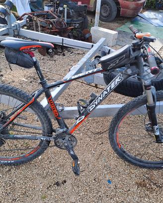 mtb dynatek 29