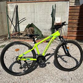 Bicicletta da bambino
