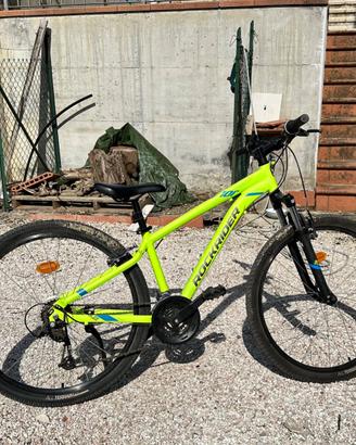 Bicicletta da bambino