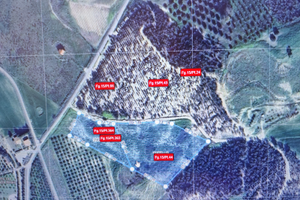 Terreno agricolo con casa