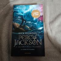 Il ladro di fulmini Percy Jackson