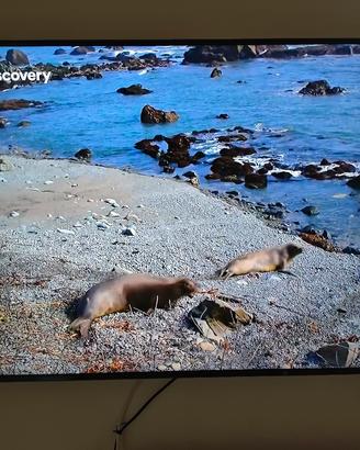 SAMSUNG TV 50" QLED Q7F 4K 