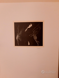 Serigrafia, Nino Squarza