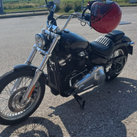 Harley davidson softail standard